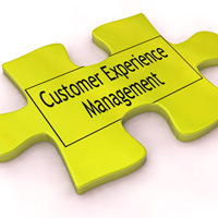 Customer Experience Management Org Chart Puzzle